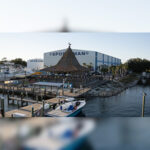Tiki & Raw Bar 4